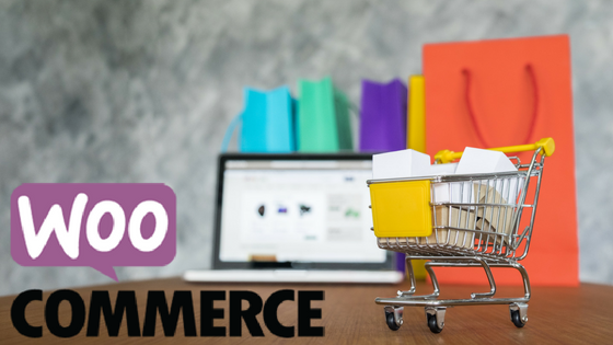 WooCommerce Guide to Boost E-commerce Sales