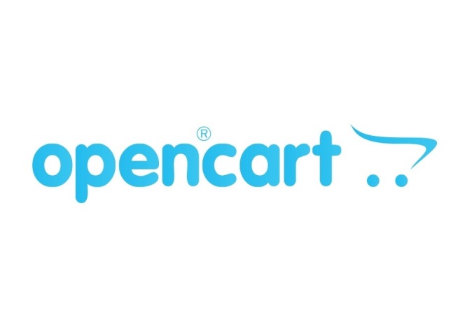 Make Your Online Business More Rewarding by Hiring Professional OpenCart Development Services