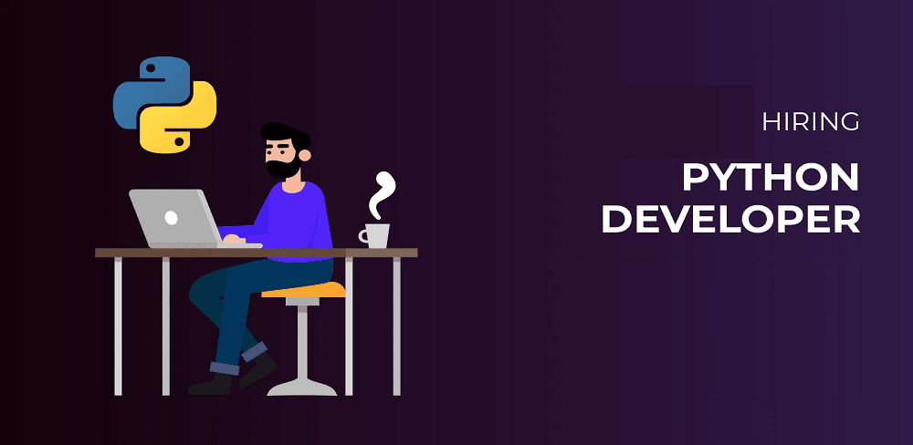 6 Benefits of Hiring a Python Developer for Your Web Project
