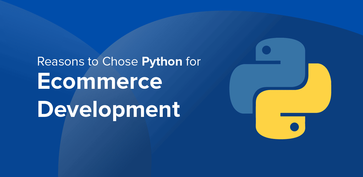 Python for eCommerce Web Development: Why Does it Make Sense?
