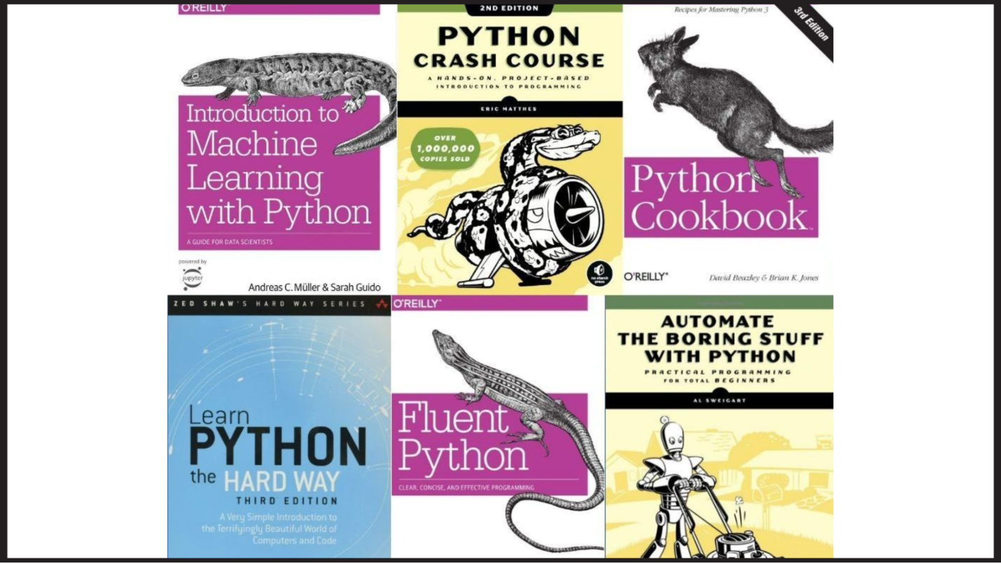 Read books on Python Coding