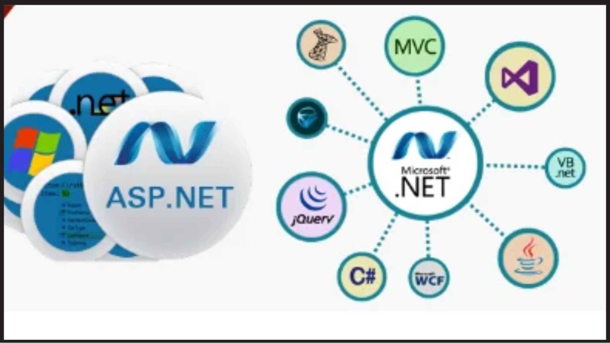 Benefits of Using Dot Net Evolution Vectors for Software Development